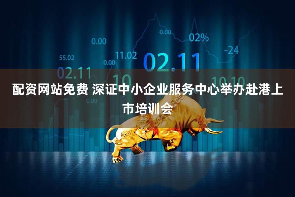 配资网站免费 深证中小企业服务中心举办赴港上市培训会