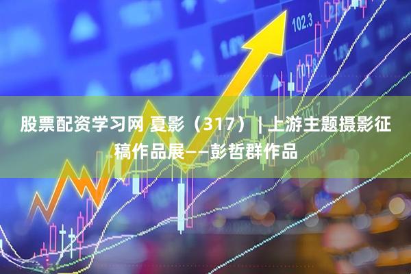 股票配资学习网 夏影（317） | 上游主题摄影征稿作品展——彭哲群作品