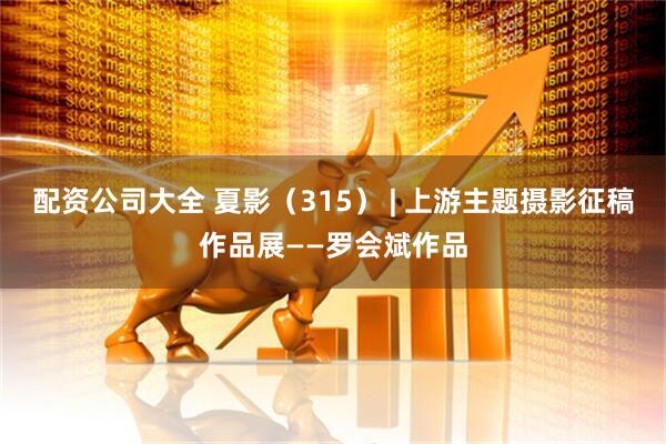 配资公司大全 夏影（315） | 上游主题摄影征稿作品展——罗会斌作品