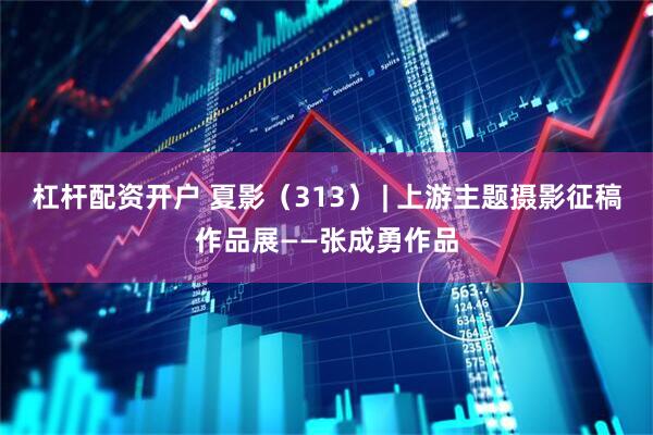 杠杆配资开户 夏影（313） | 上游主题摄影征稿作品展——张成勇作品