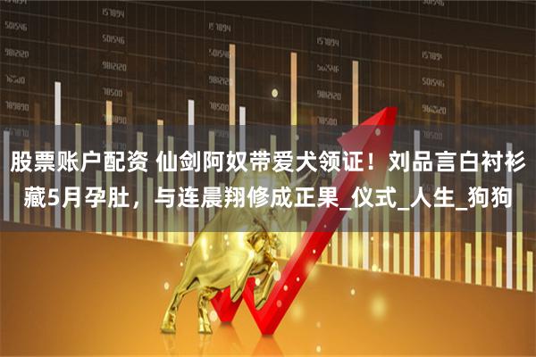 股票账户配资 仙剑阿奴带爱犬领证！刘品言白衬衫藏5月孕肚，与连晨翔修成正果_仪式_人生_狗狗
