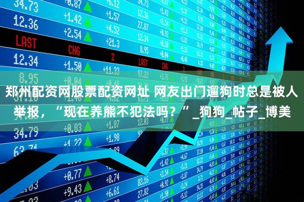 郑州配资网股票配资网址 网友出门遛狗时总是被人举报，“现在养熊不犯法吗？”_狗狗_帖子_博美