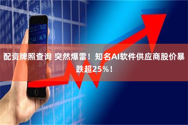 配资牌照查询 突然爆雷！知名AI软件供应商股价暴跌超25%！